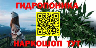 MESCALINE Обь