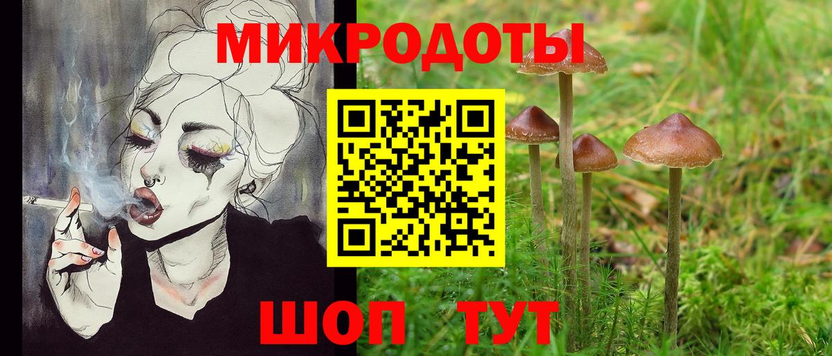 Галлюциногенные грибы MAGIC MUSHROOMS  Вход с VPN  Сосновоборск 